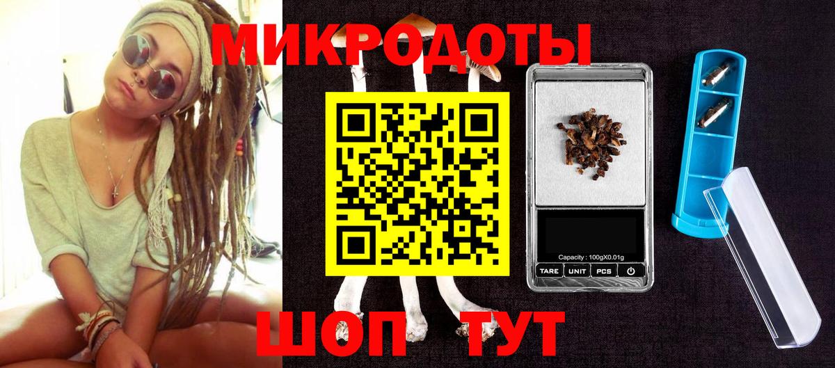 Псилоцибиновые грибы Psilocybe Новомосковск
